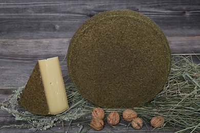 Сыр полутвердый «Очарование горной ели», 50%